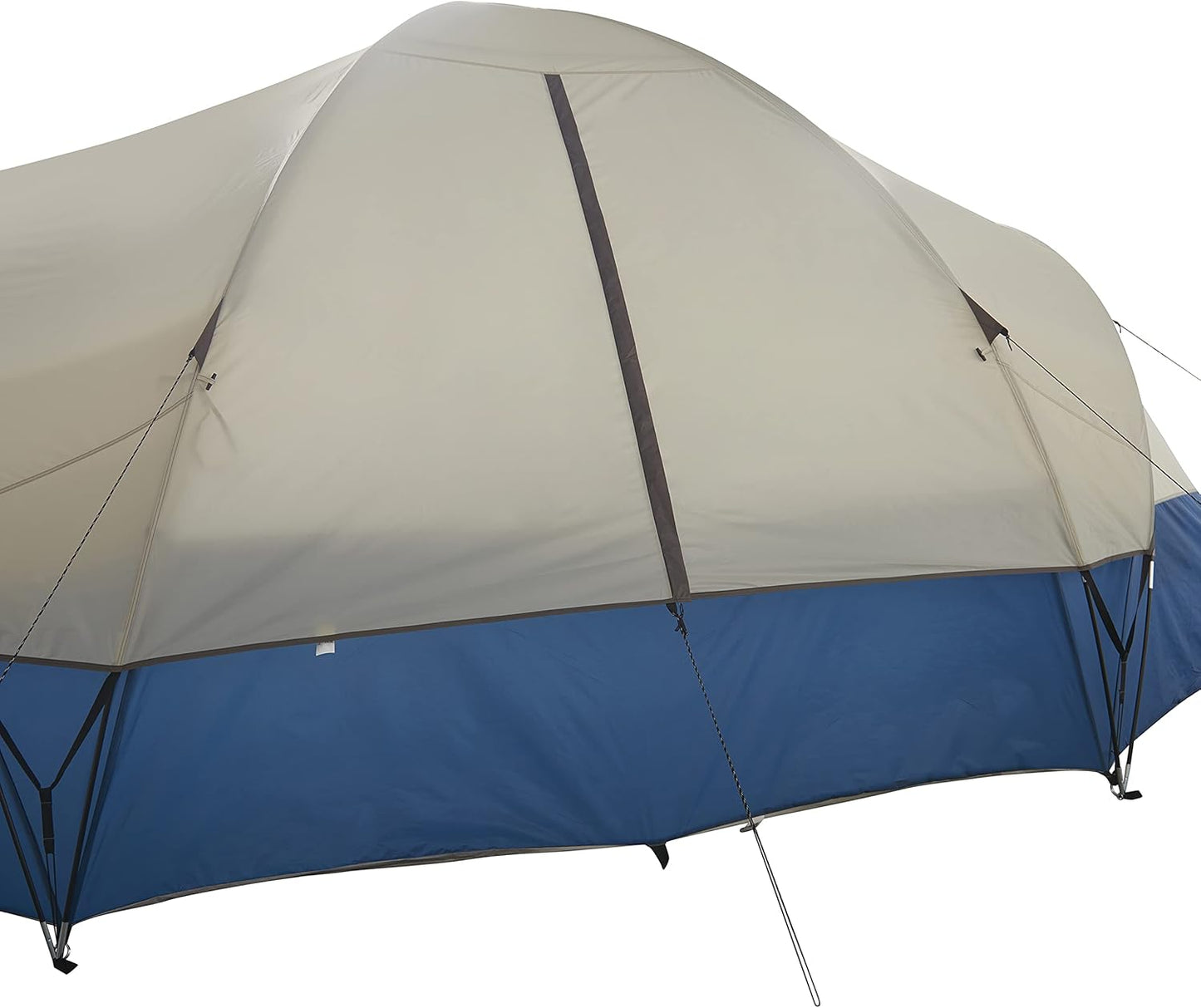 Pinyon 10 Person Dome Tent