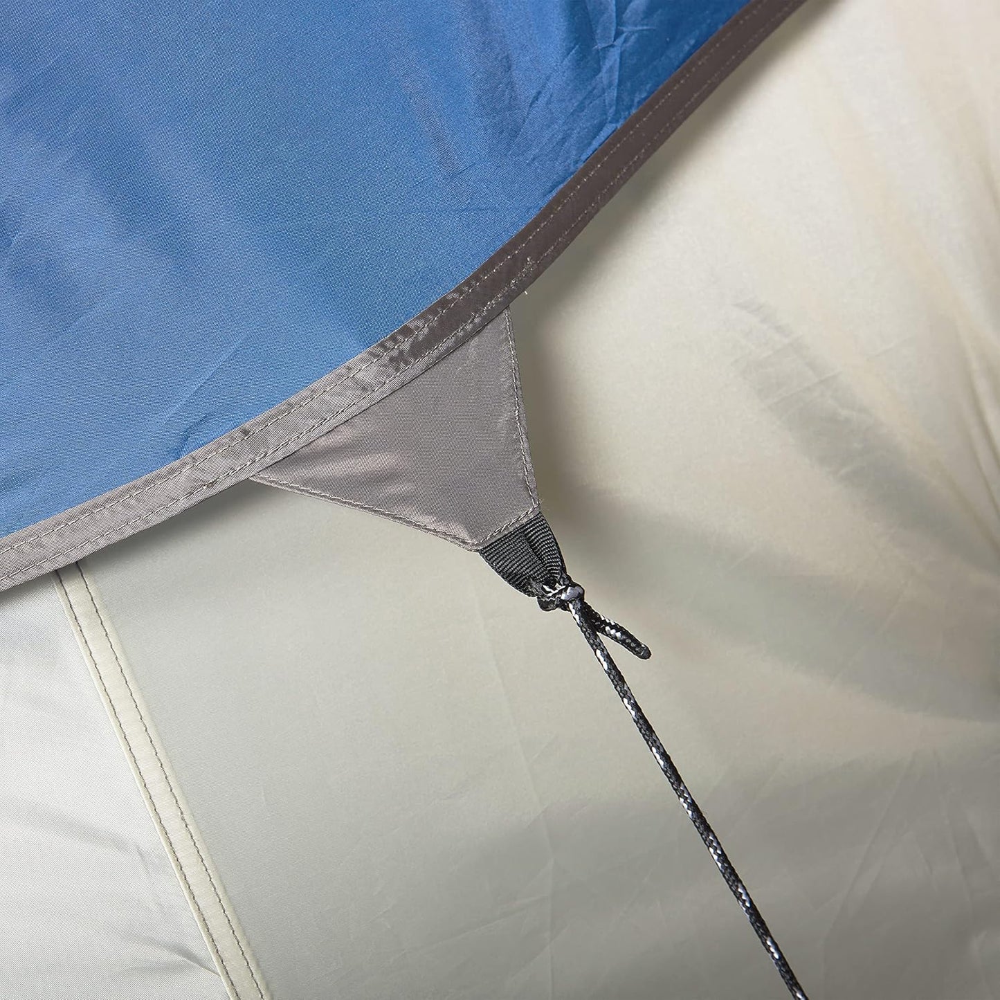 Pinyon 10 Person Dome Tent